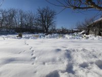 IMG 6979