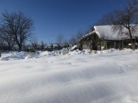 IMG 6980