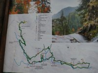 IMG 6984