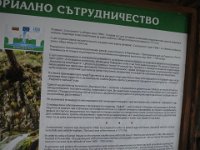 IMG 6985