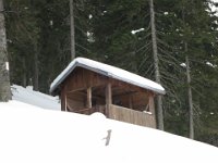 IMG 6987