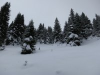 IMG 6989
