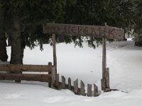 IMG 6994