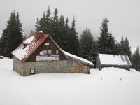 IMG 6995