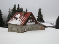 IMG 6996