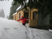 IMG 7012