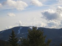 IMG 7021