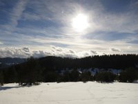 IMG 7026