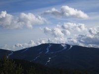 IMG 7029