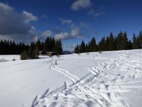 IMG 7031