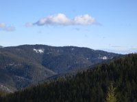 IMG 7033