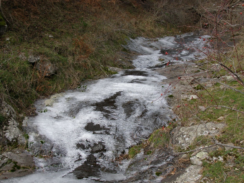 PC120235