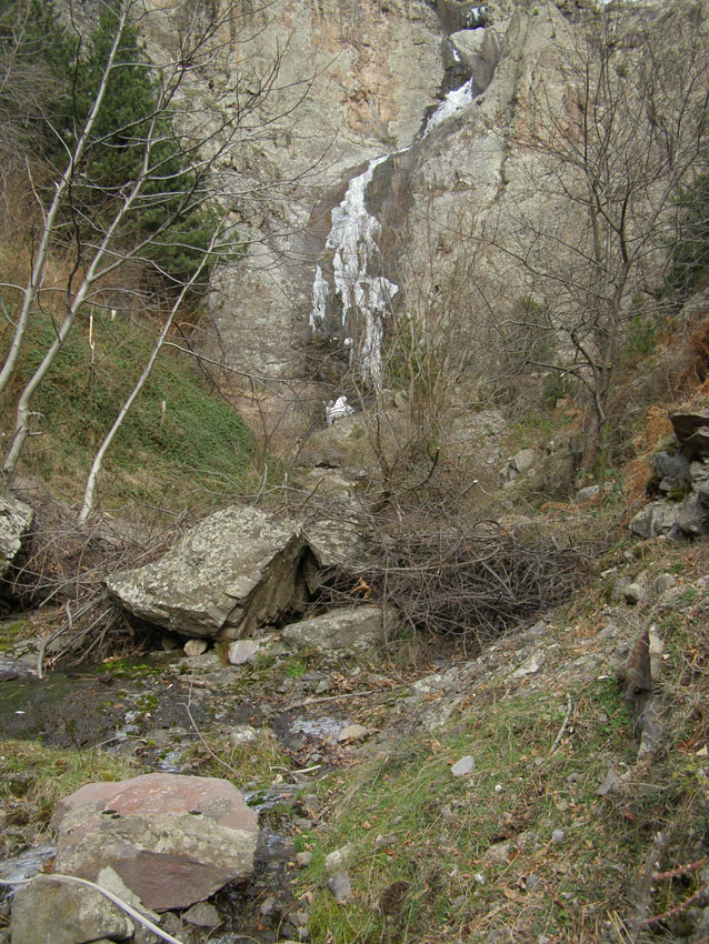 PC120238