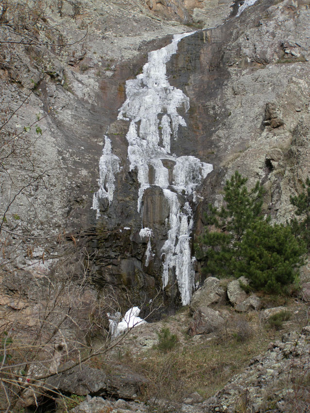 PC120239