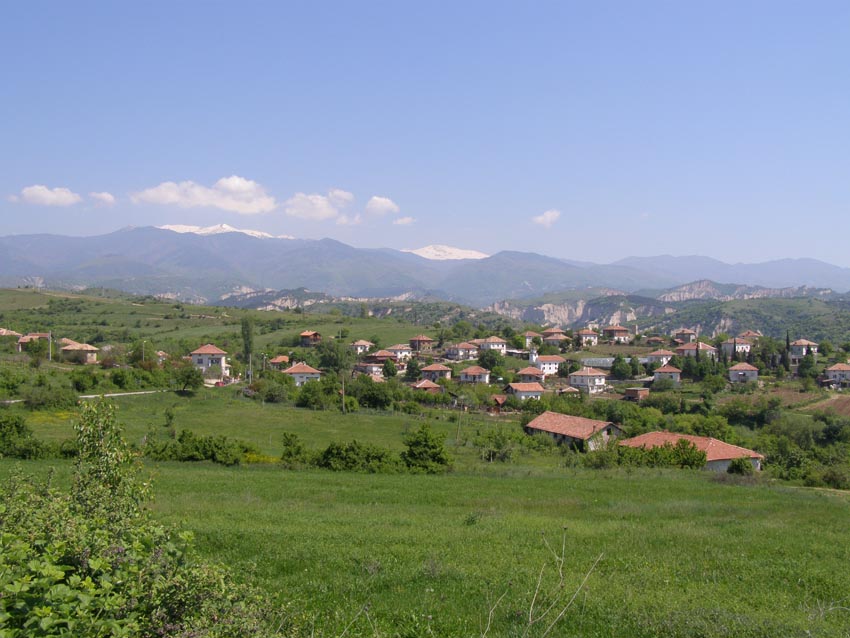 P5011151