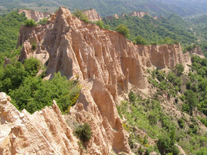 P5011174