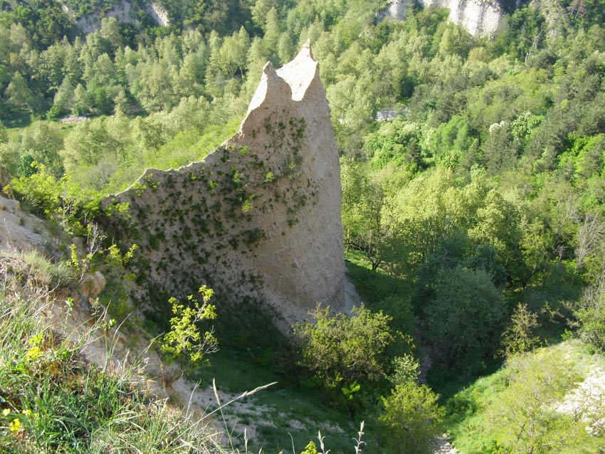 P5011200
