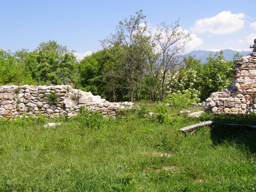 P5021228