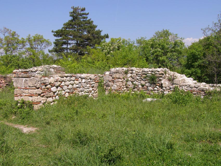 P5021229