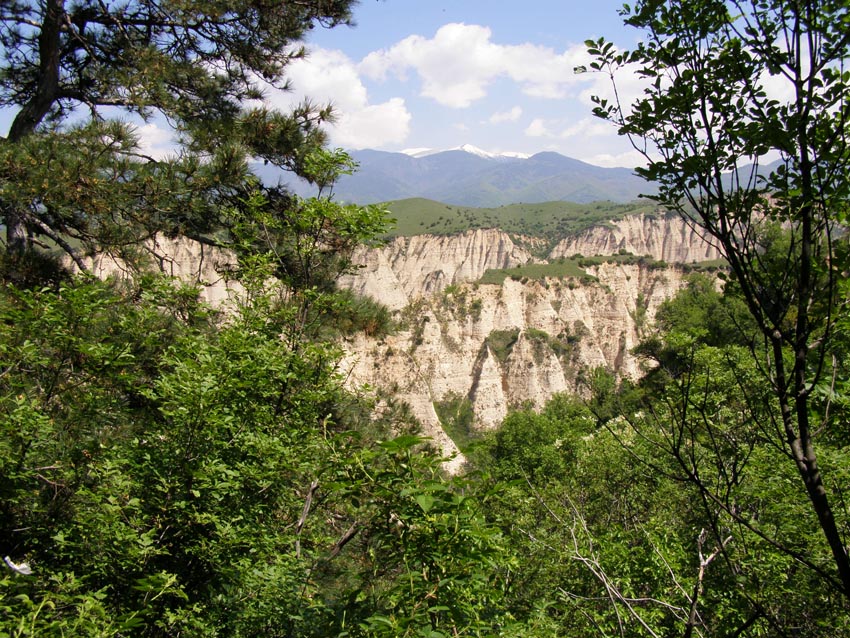 P5021235