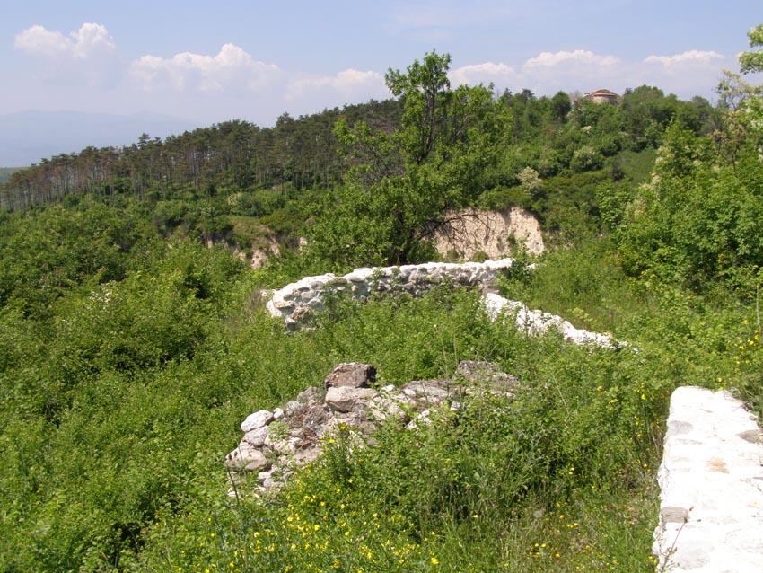 P5021257