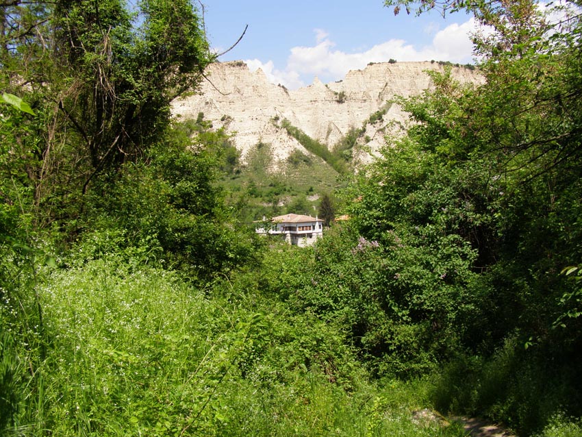 P5021258