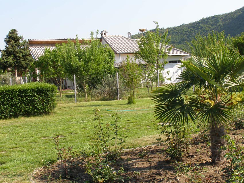 P5021270