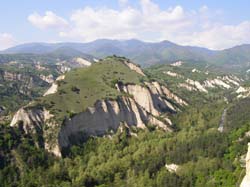 P5011203