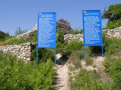 P5021215