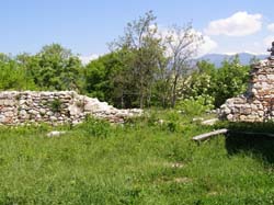 P5021228