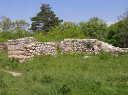 P5021229
