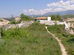 P5021237