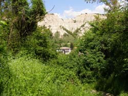 P5021258