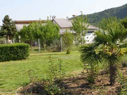 P5021270