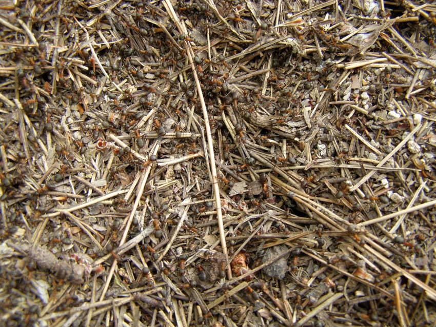 P7261069