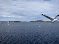 IMG 5751