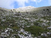 IMG 5894