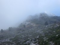 IMG 5895